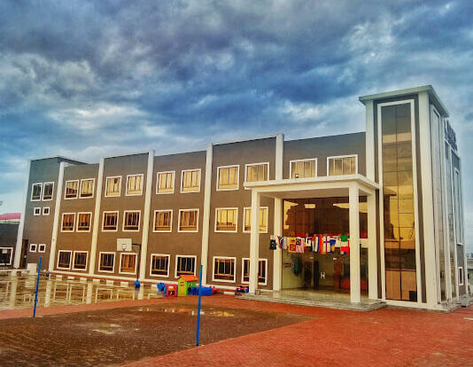 Roots International School